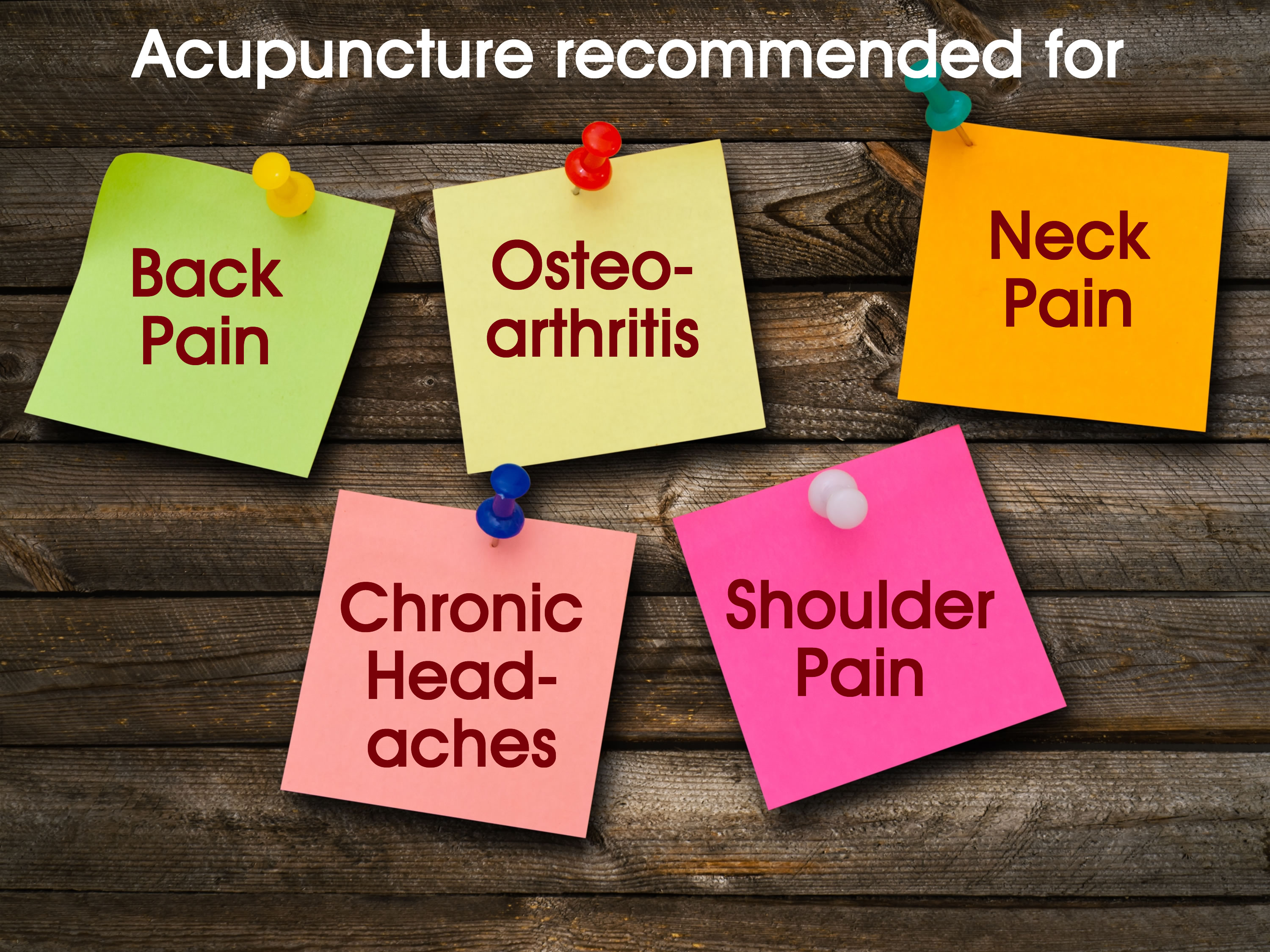 Acupuncture quote #2