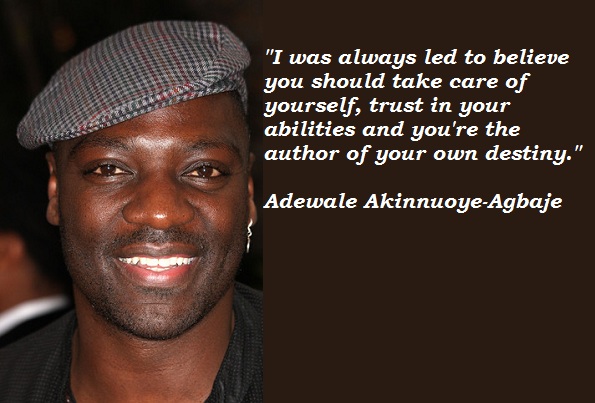 Adewale Akinnuoye-Agbaje's quote #7