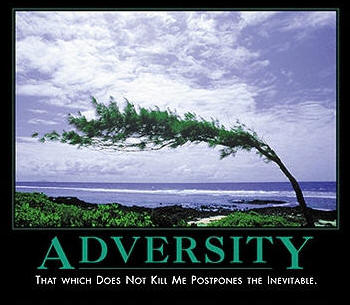 Adversity quote #2