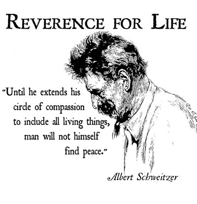 Albert Schweitzer's quote #7