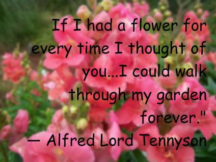Alfred Lord Tennyson's quote #6