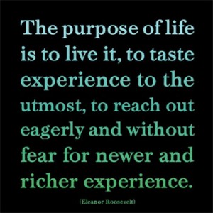 Amazing Experience quote #2