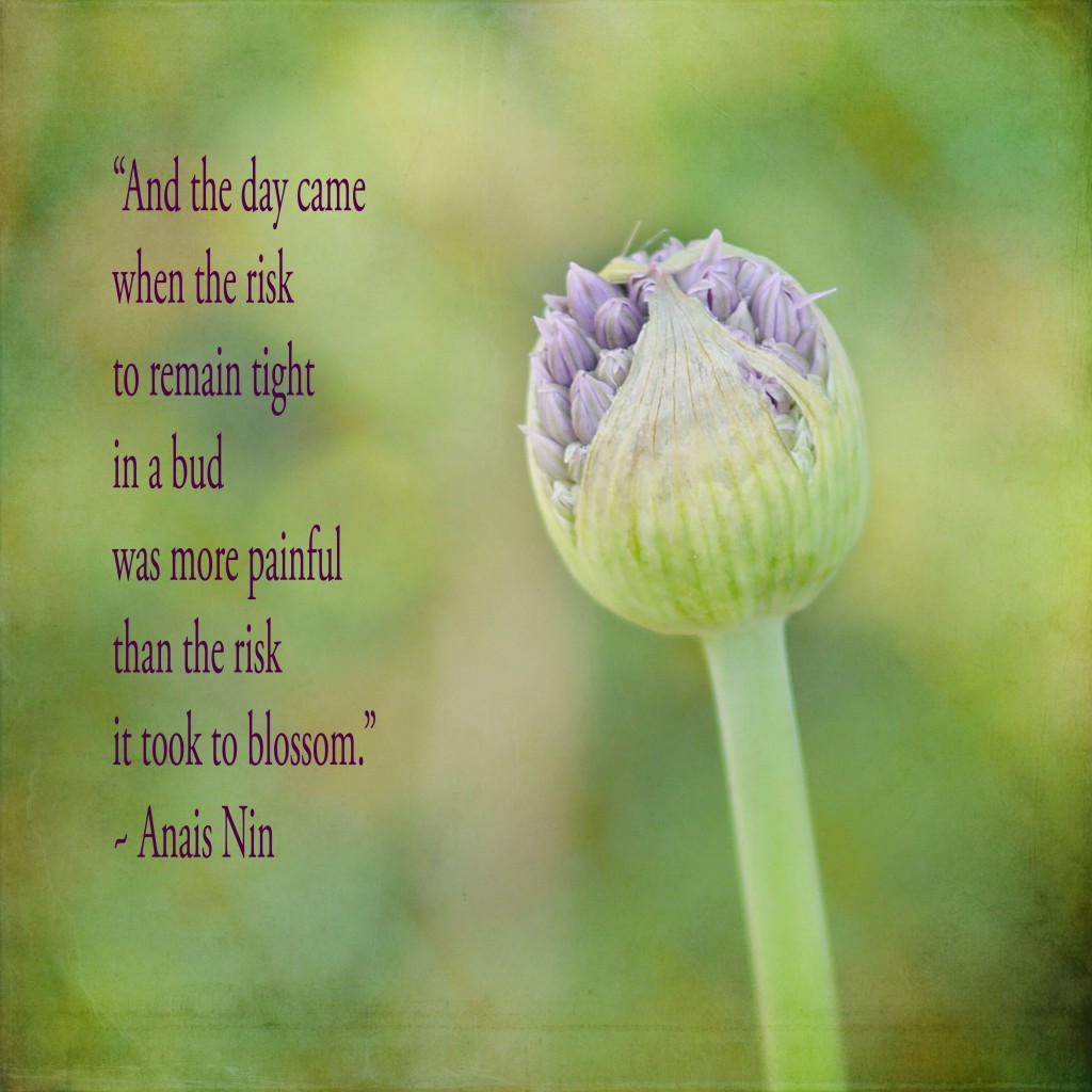 Anais Nin's quote #7