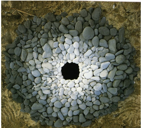 Andy Goldsworthy's quote