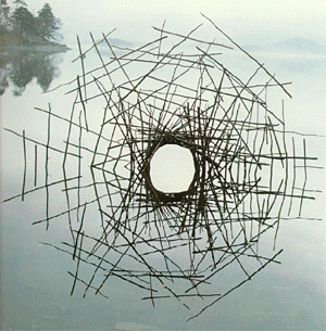 Andy Goldsworthy's quote #5