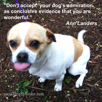 Ann Landers's quote #6