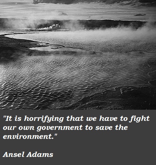 Ansel Adams's quote #8