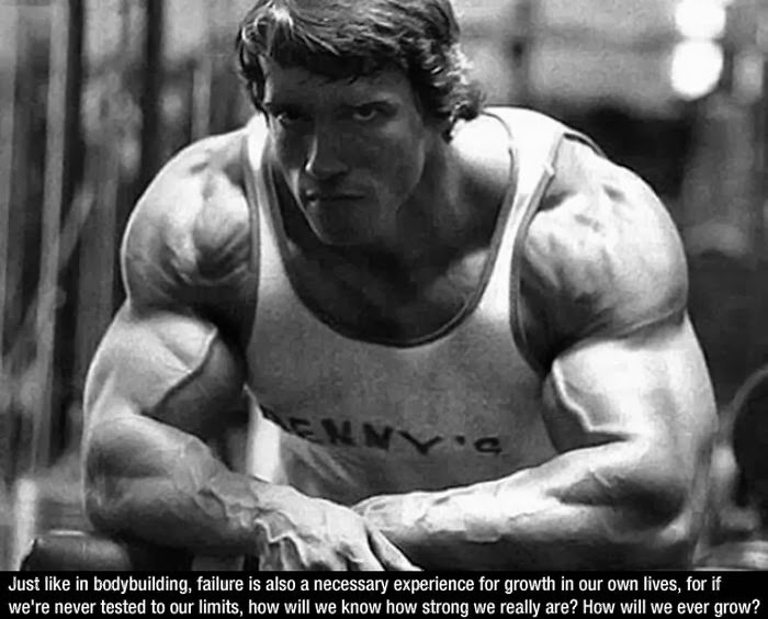 Arnold Schwarzenegger quote