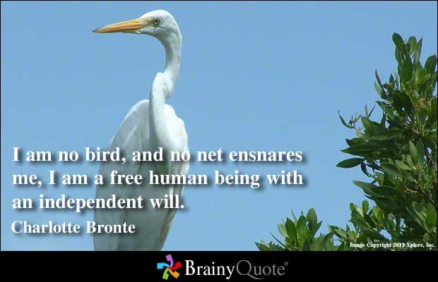 Bird quote #3