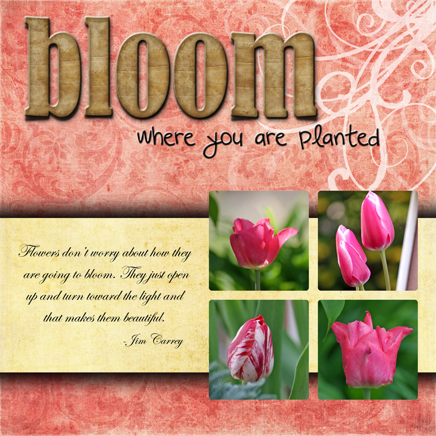 Bloom quote