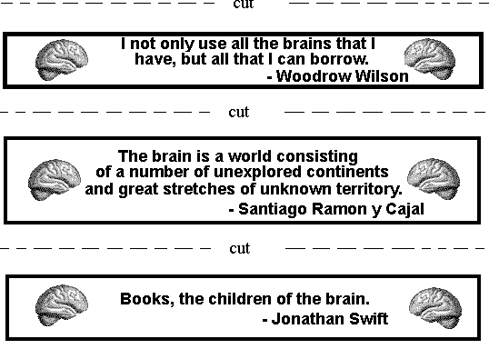 Brain quote #2