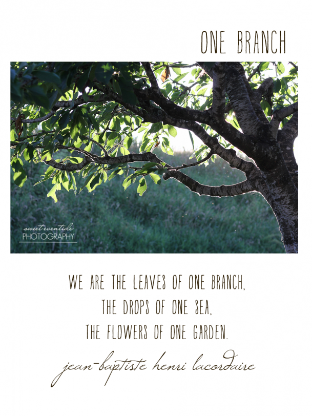 Branches quote #1