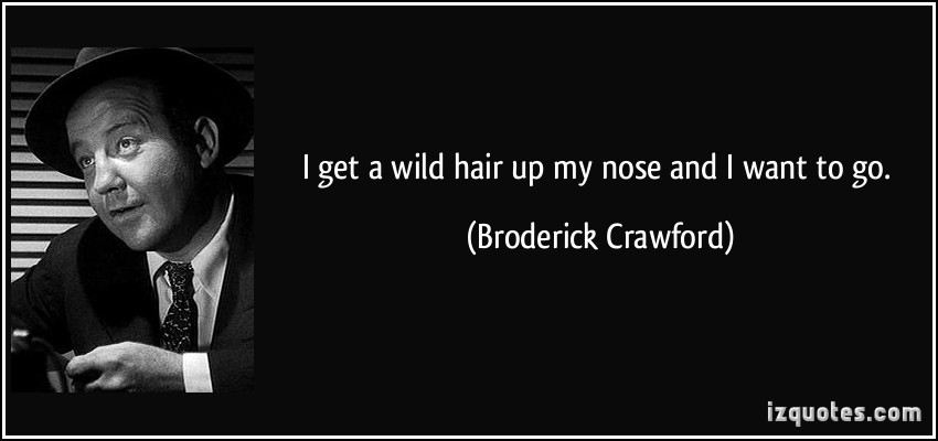 Broderick Crawford's quote #1