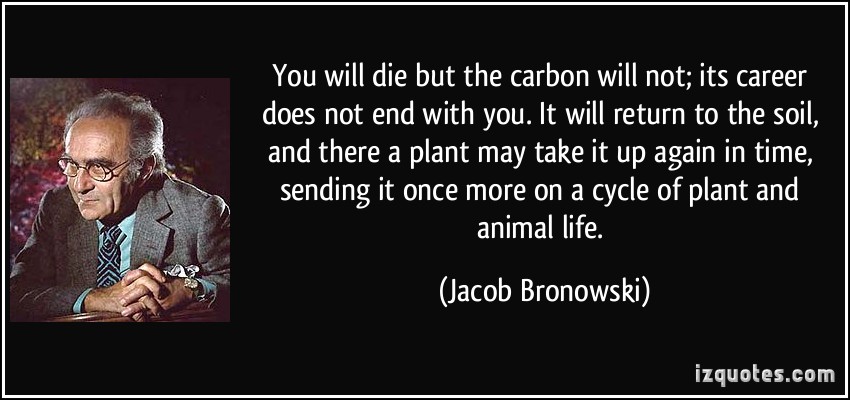 Carbon quote #1