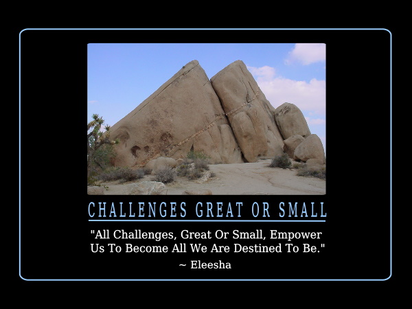 Challenges quote #6