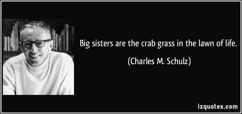 Charles M. Schulz's quote #3