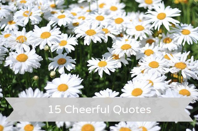 Cheerful quote #5