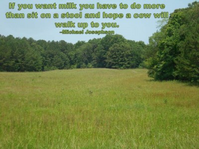 Cow quote #5