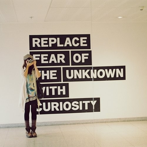 Curiosity quote #6
