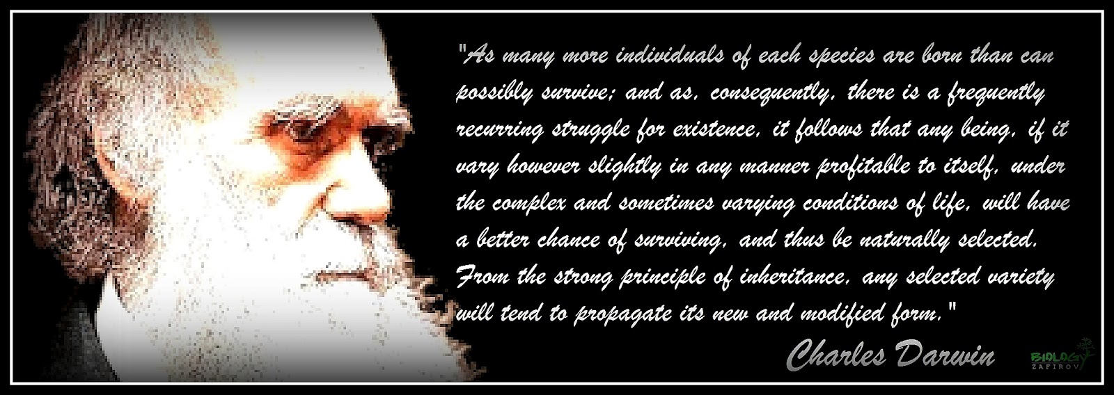 Darwinian quote