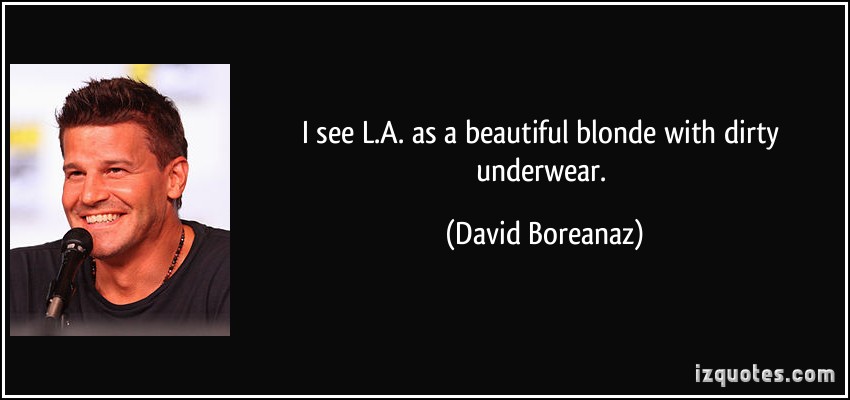 David Boreanaz's quote