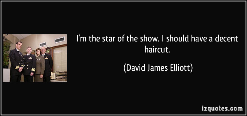 David James Elliott's quote #3