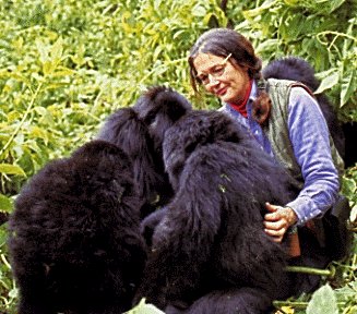 Dian Fossey's quote