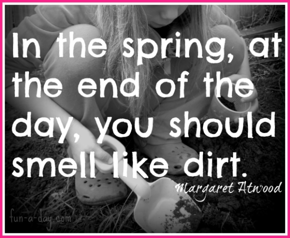 Dirt quote #3