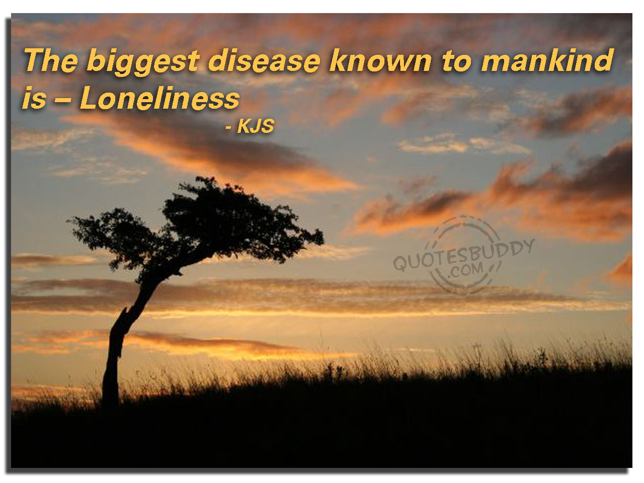 Disease quote #1