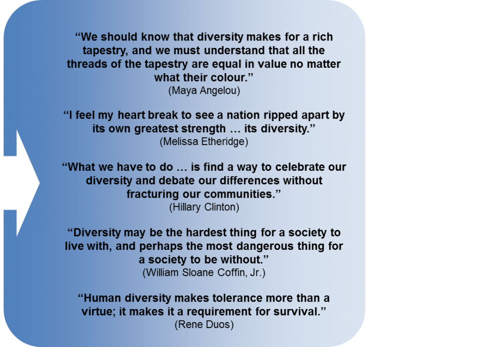 Diversity quote #4