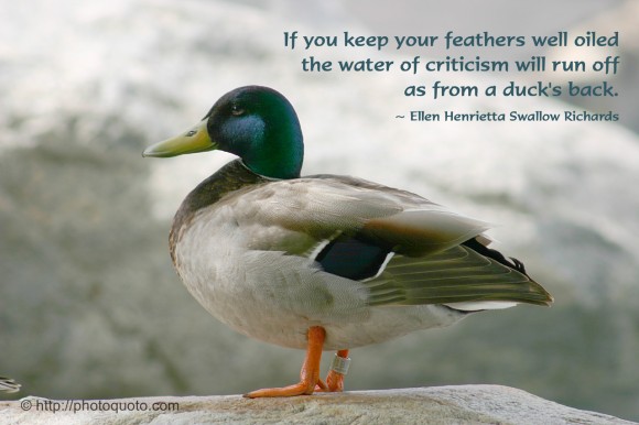 Duck quote #3