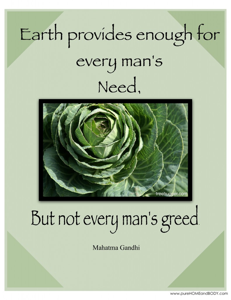 Earth quote #5