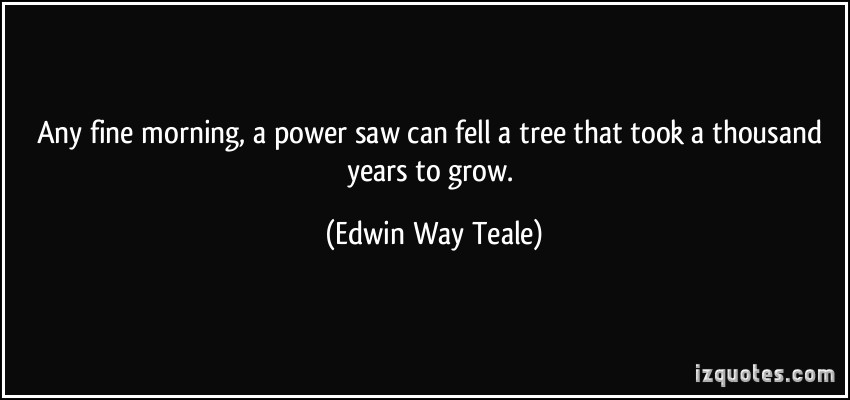 Edwin Way Teale's quote #3