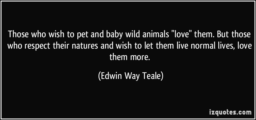 Edwin Way Teale's quote #3