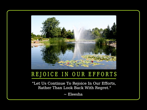 Efforts quote #3