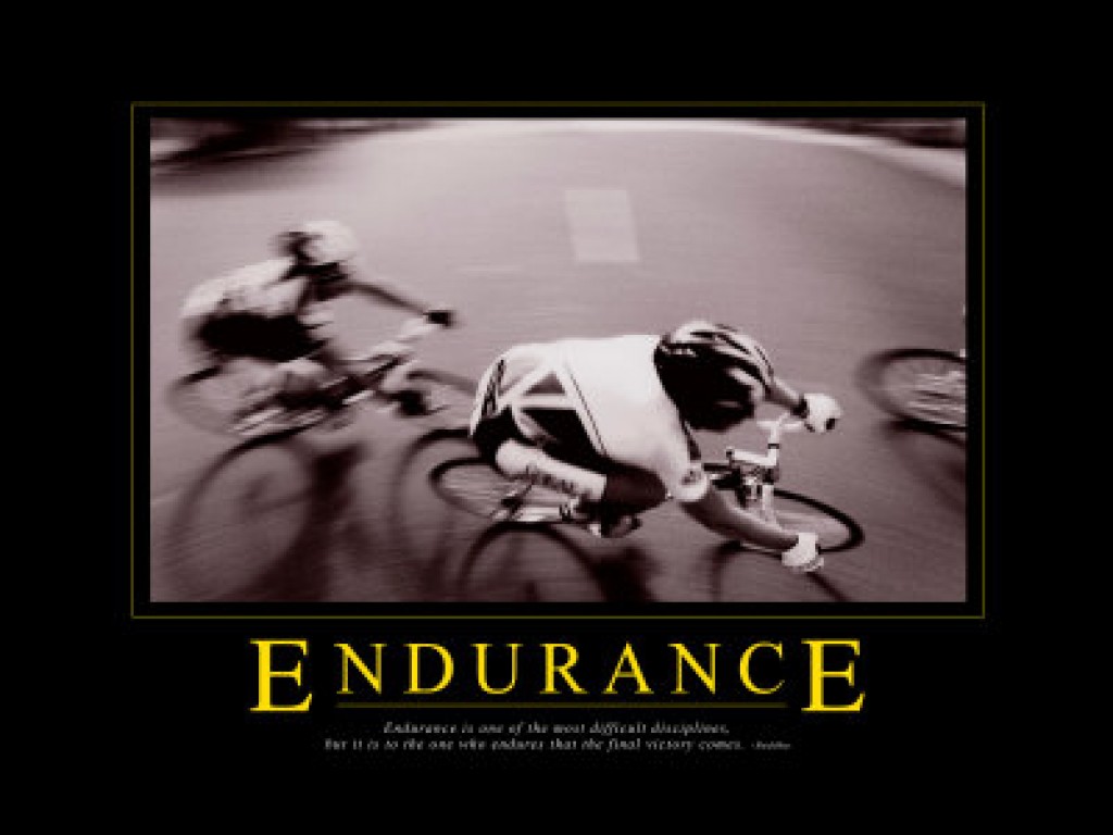 Endurance quote #3