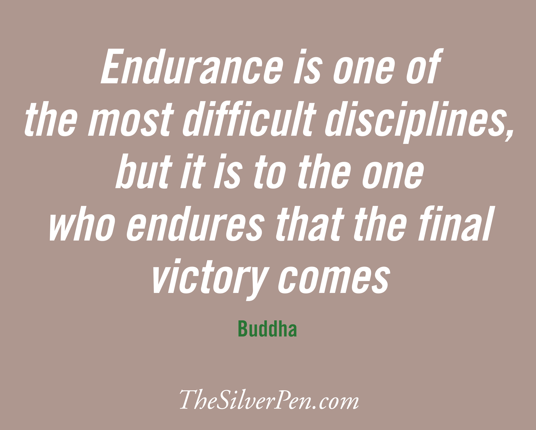 Endurance quote #7