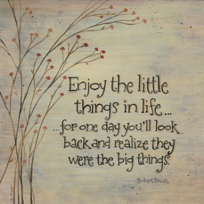 Enjoy Life quote #2