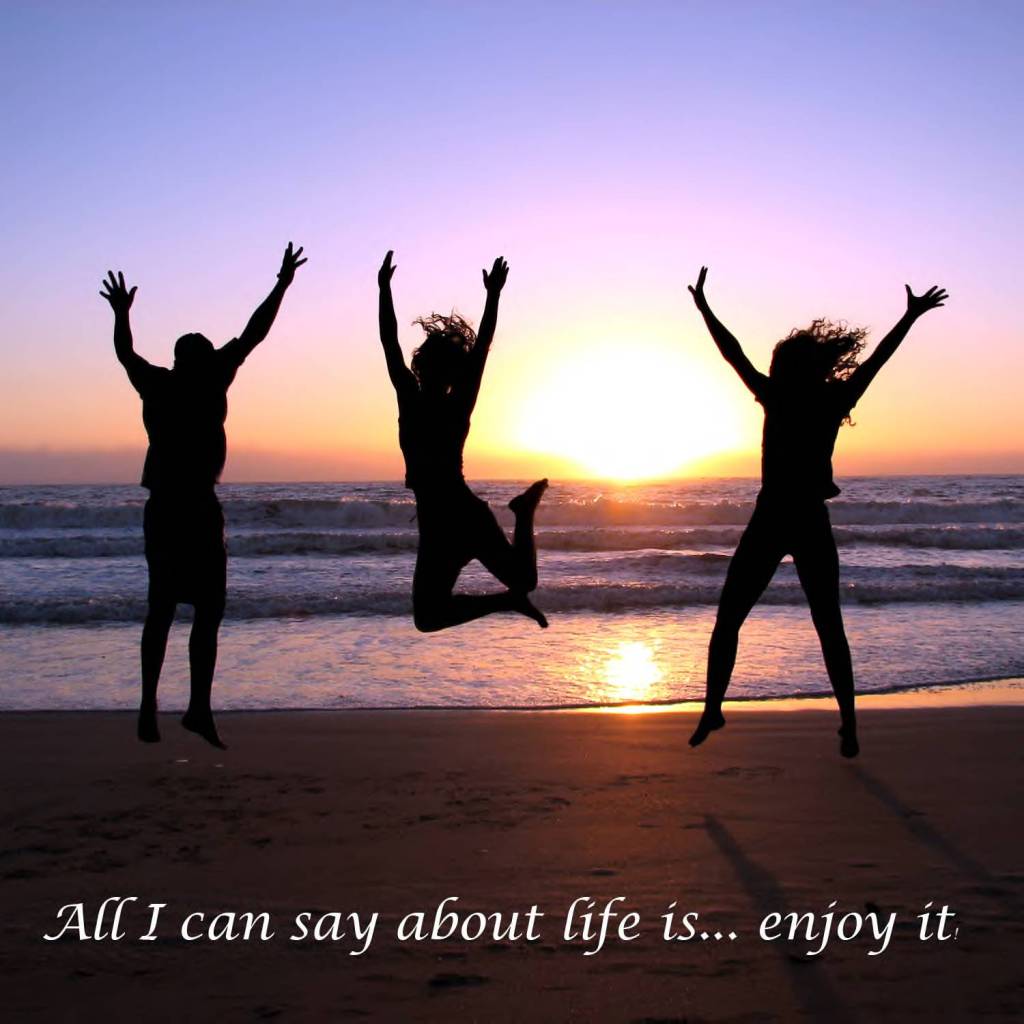 Enjoy Life quote #2