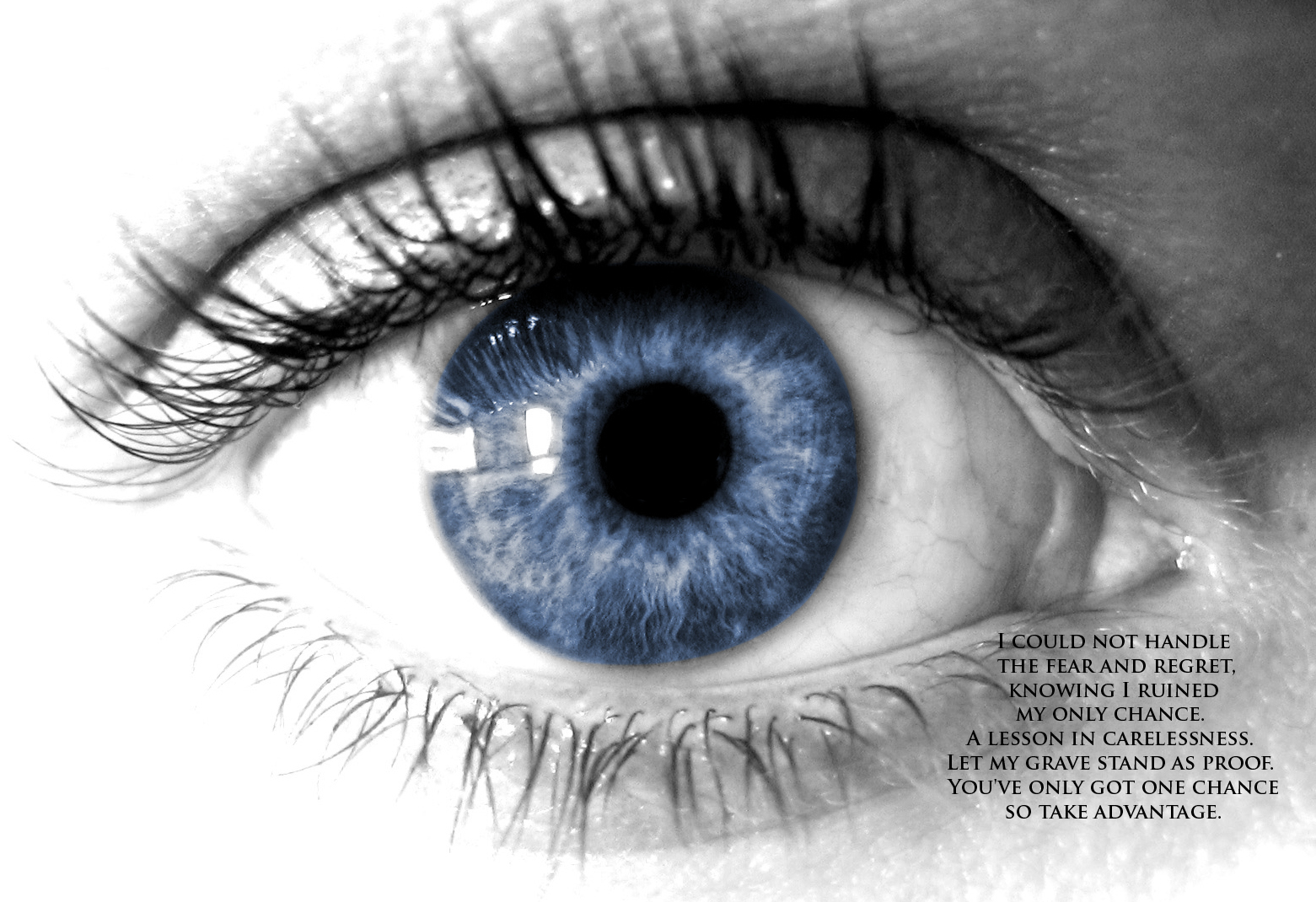 Eye quote #5