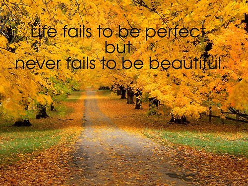 Fall quote #8
