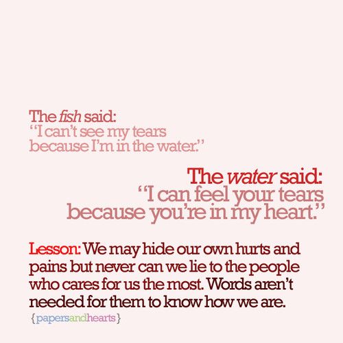 Fish quote #4