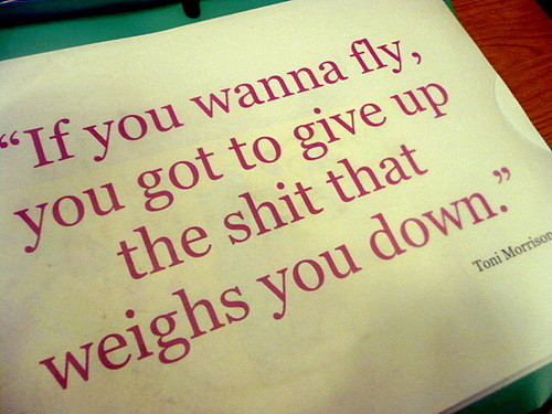 Fly quote #6