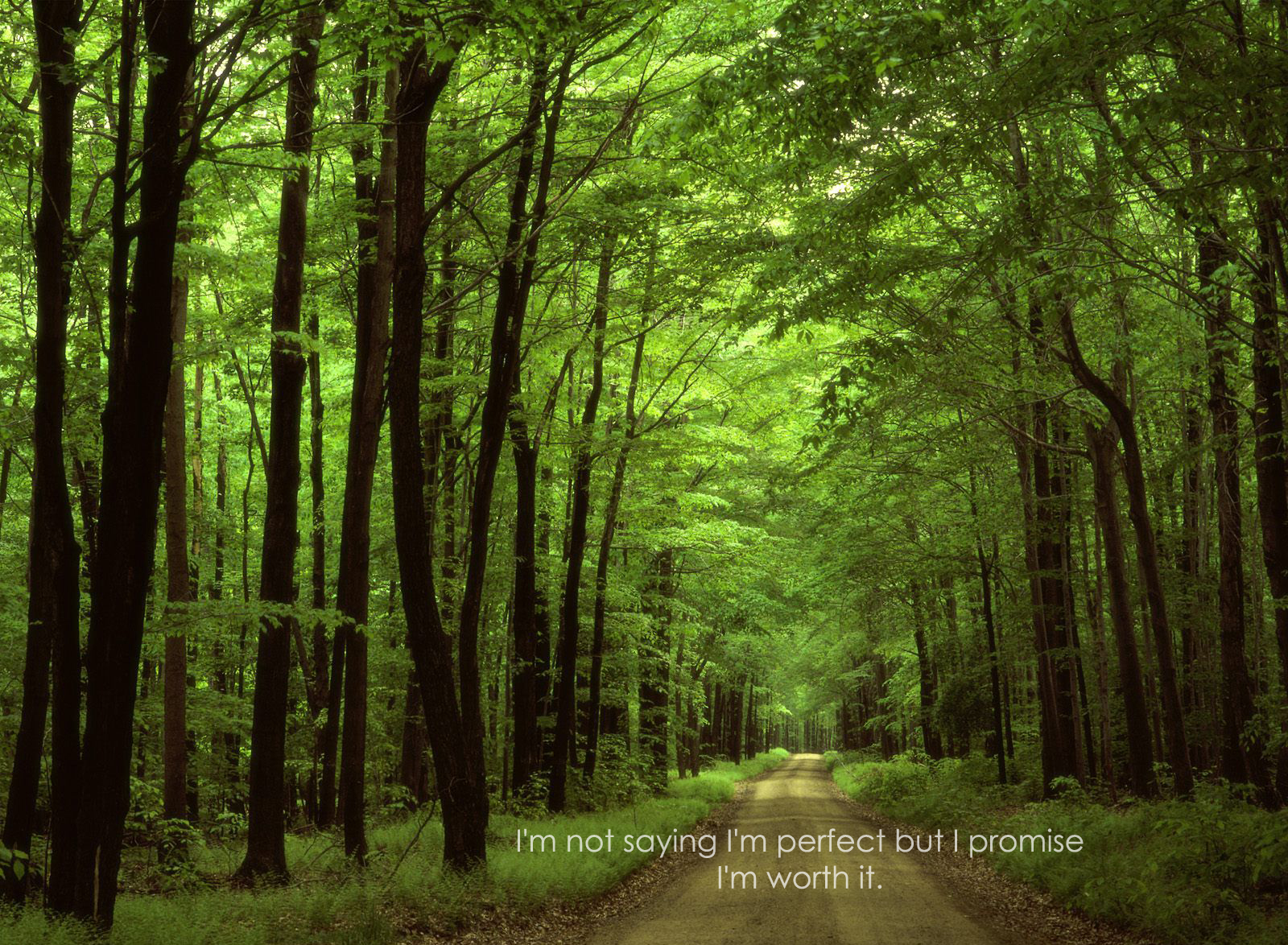 Forest quote #2