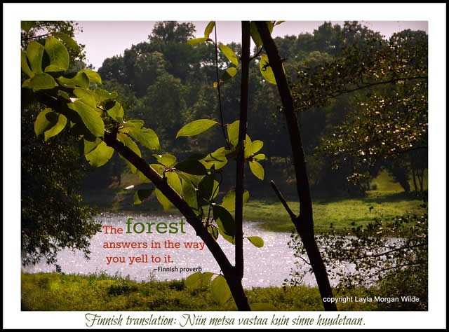 Forests quote #2