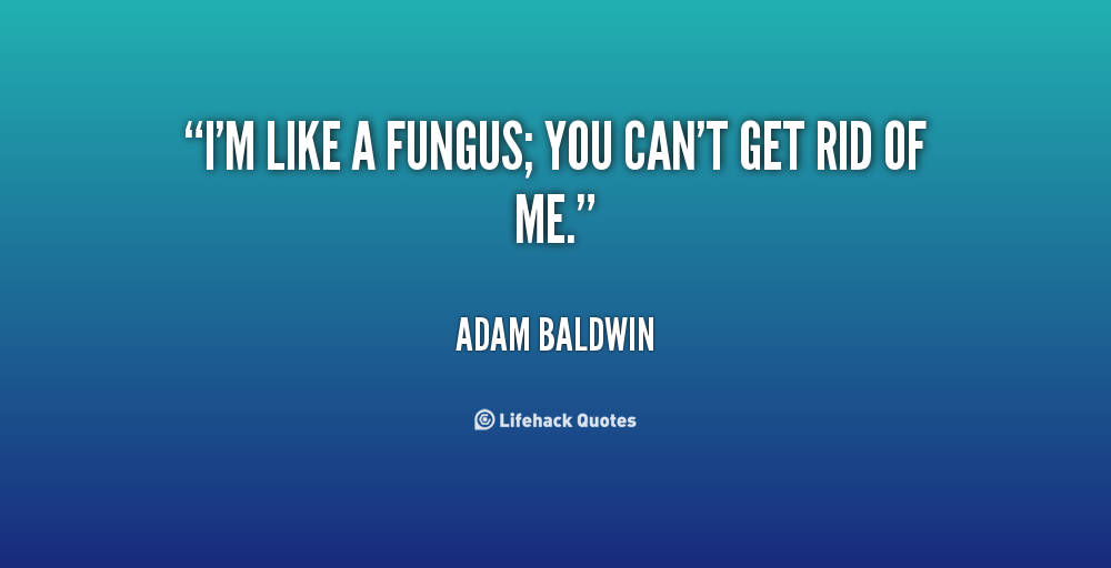 Fungus quote #1