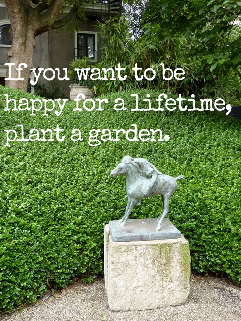 Garden quote #5
