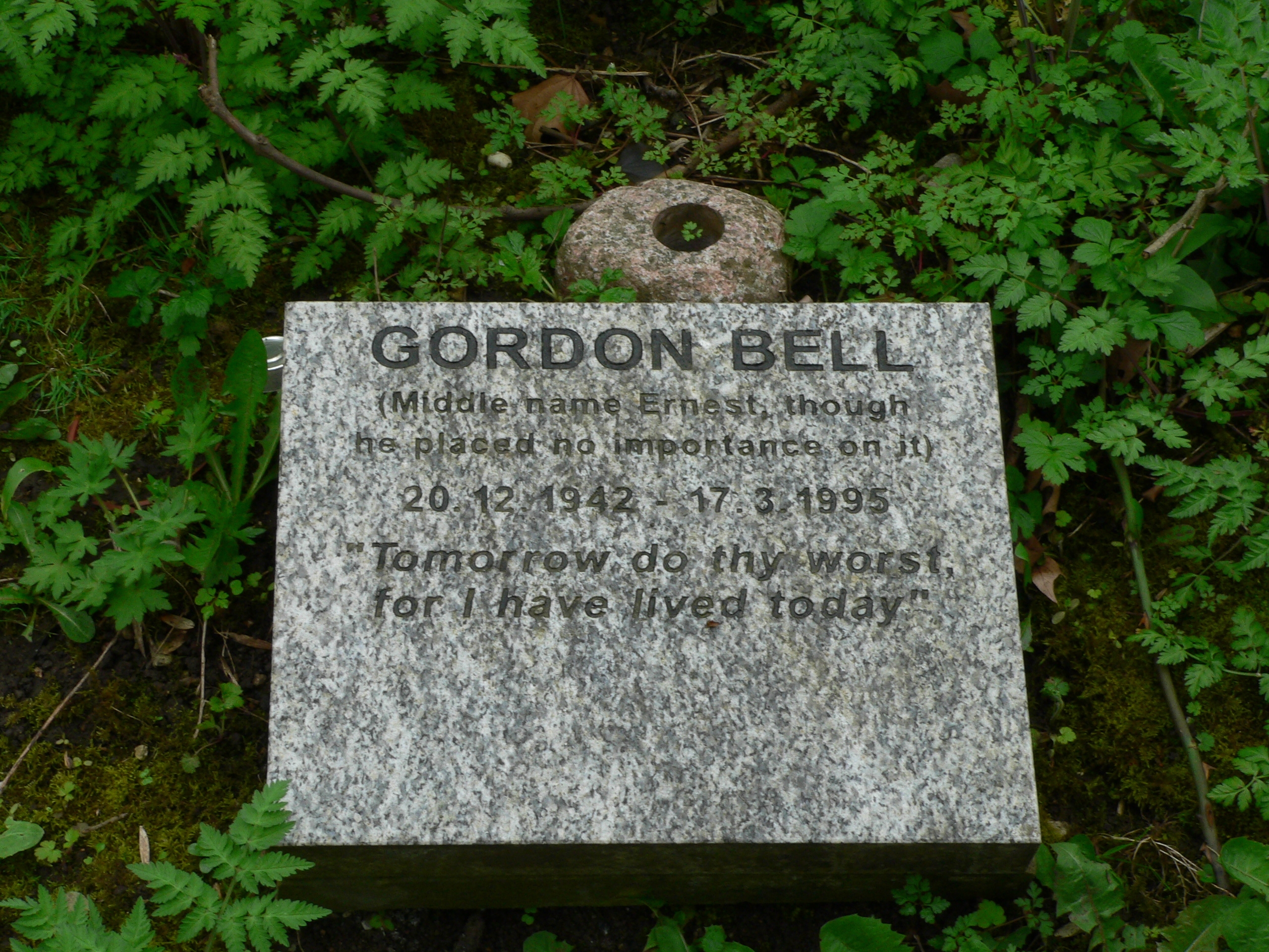 Gordon Bell's quote #1
