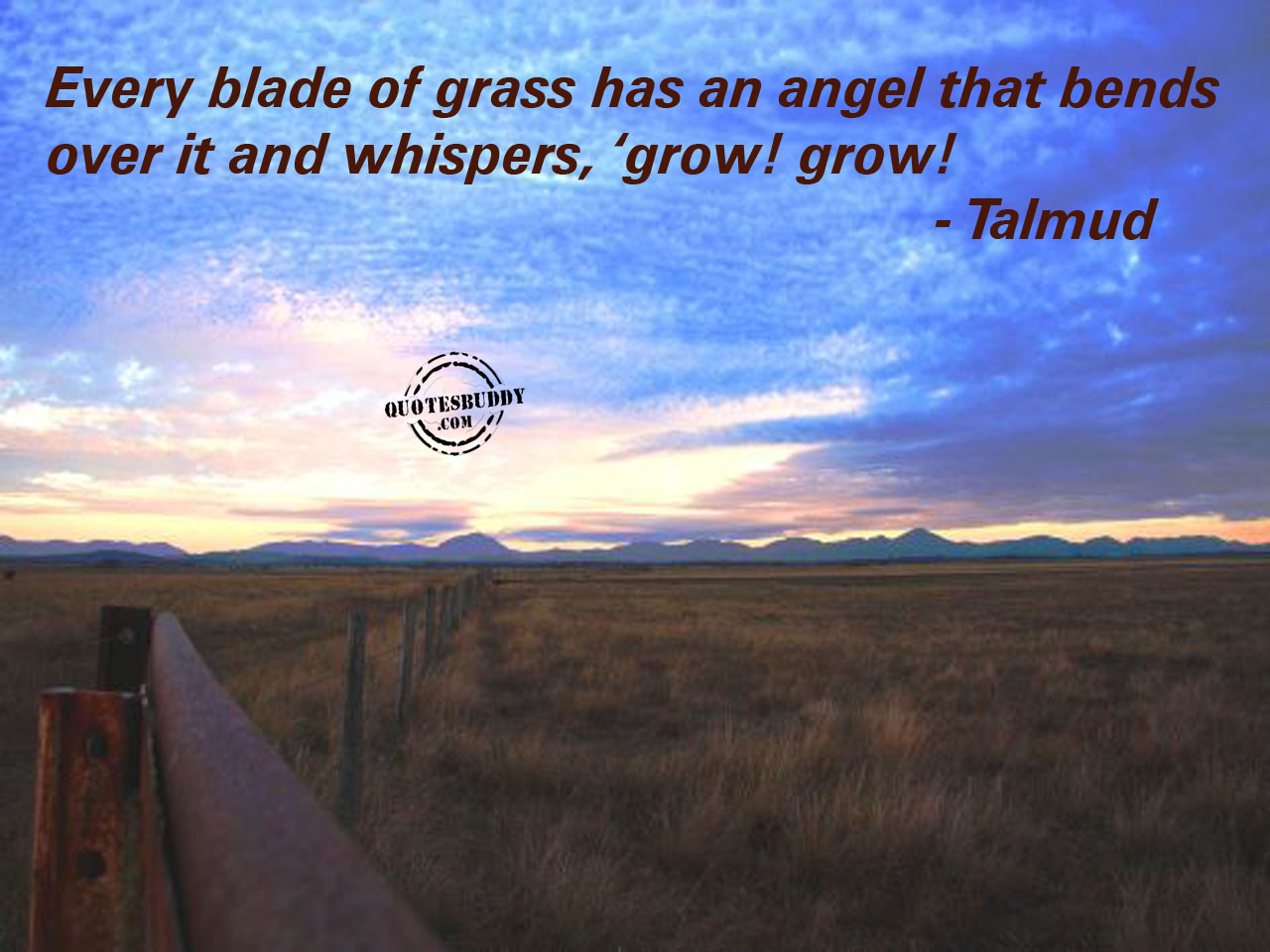 Grass quote #2