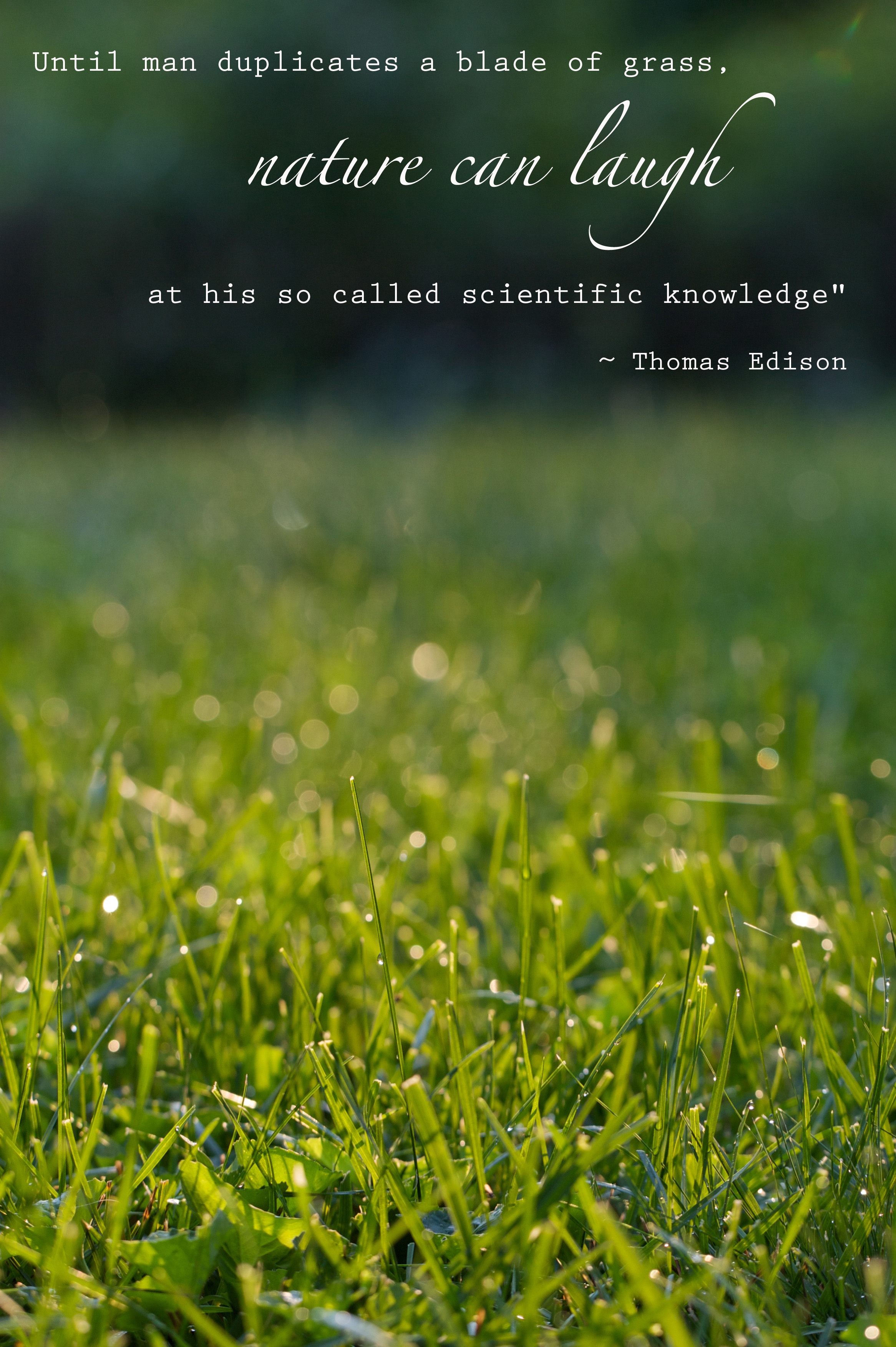 Grass quote #7